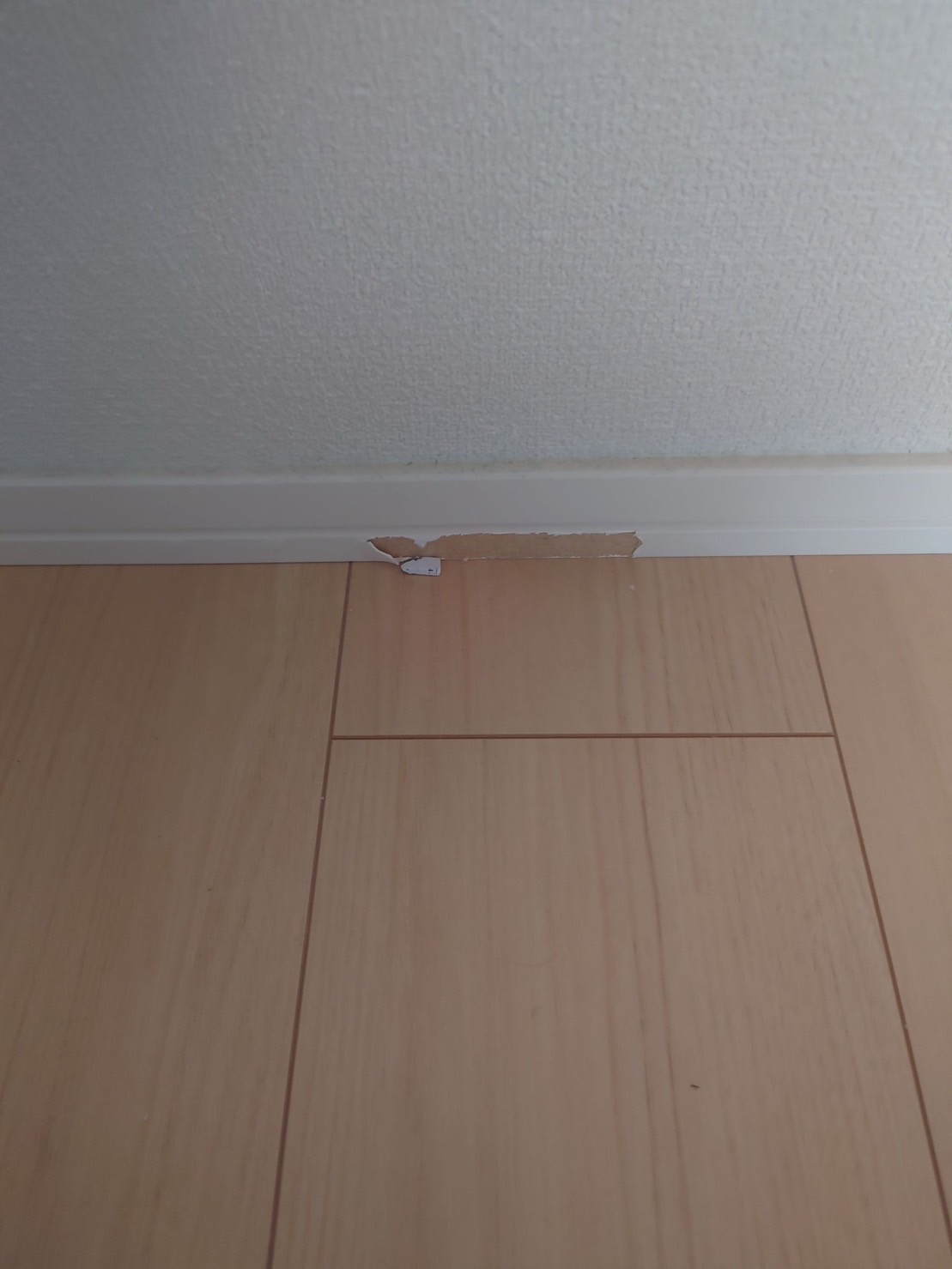 巾木補修 Before